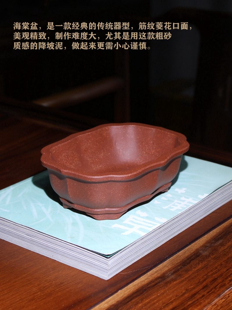 彩凤降坡泥海棠盆 实拍角度2