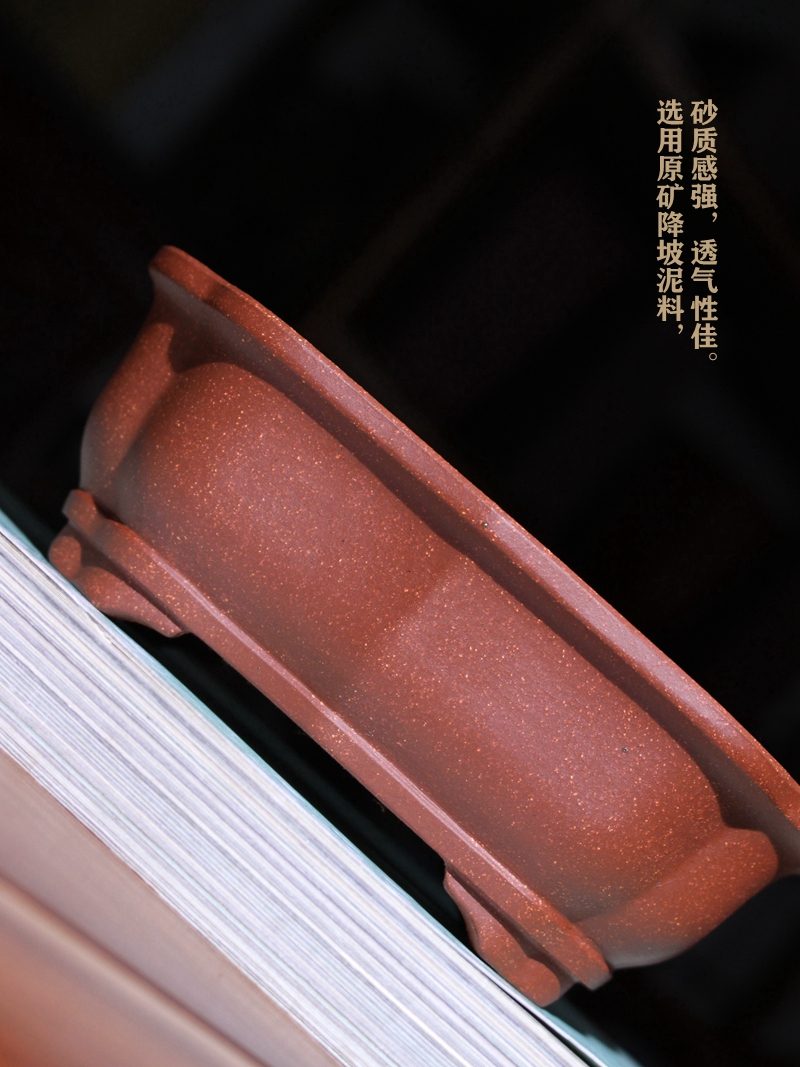 彩凤降坡泥海棠盆 实拍角度9