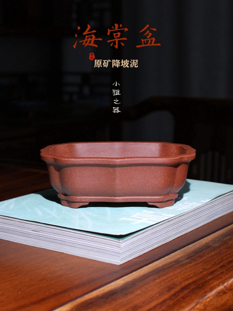 彩凤降坡泥海棠盆 · 陶雨轩紫砂手工 彩凤刻绘 海报图