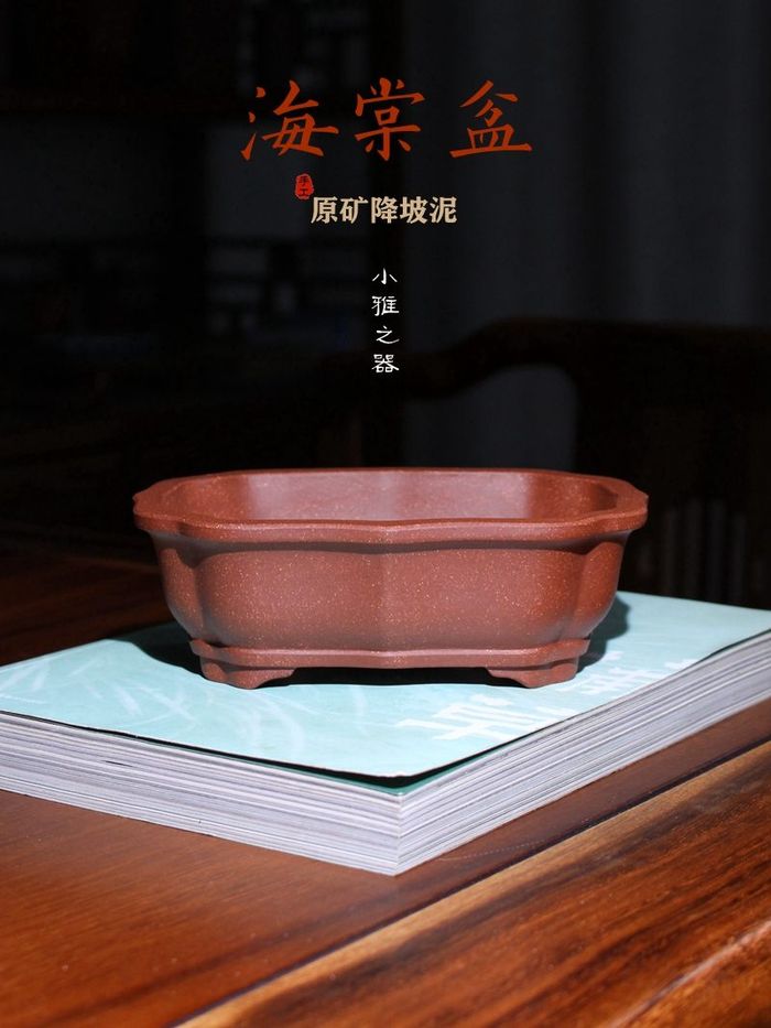 彩凤降坡泥海棠紫砂盆景盆 陶雨轩紫砂手工 彩凤刻绘