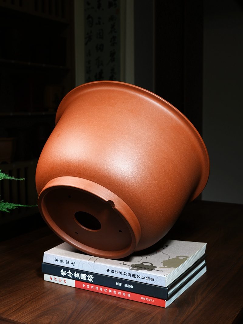特大金钟盆 实拍角度4