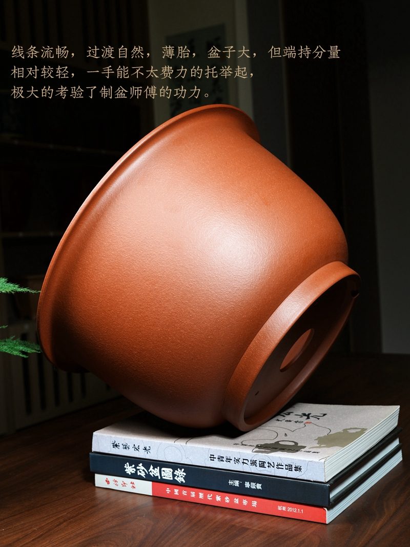 特大金钟盆 实拍角度5