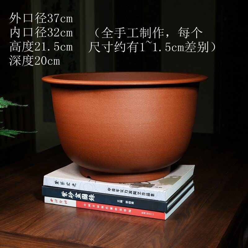 特大金钟盆 尺寸实拍