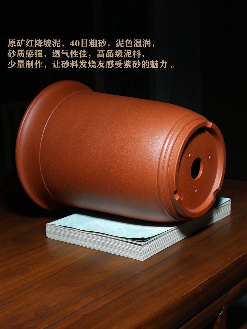 蕙馨 实拍07