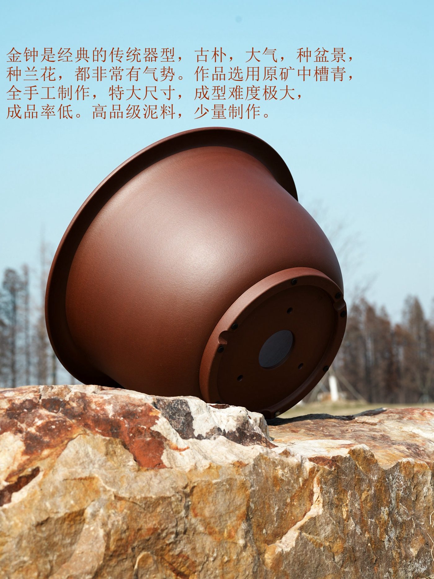 金钟 · 紫砂花盆（特大号） 实拍角度4