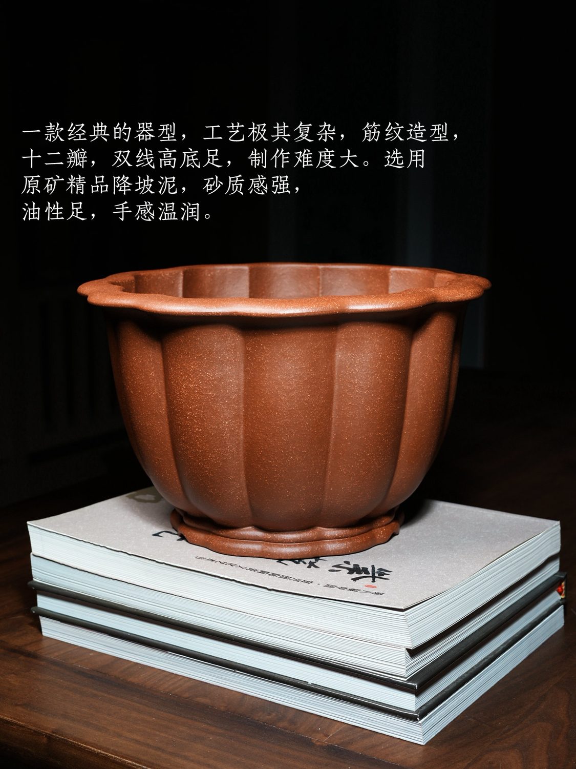 葵十二瓣金钟紫砂兰花 原矿精品降坡泥