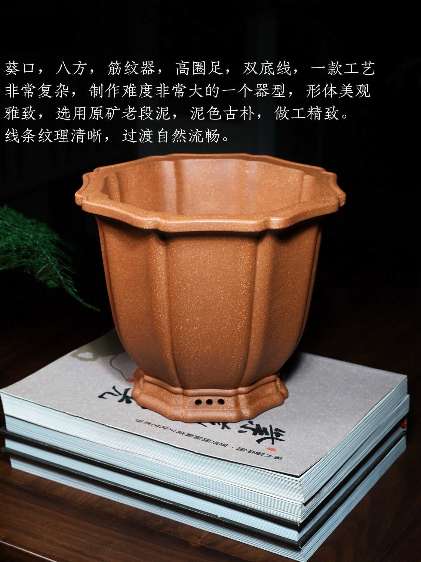 葵口八方金钟 · 紫砂花盆 实拍角度2