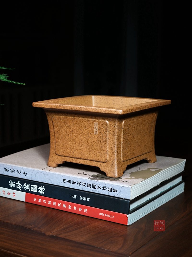 奎面飘口四方盆 实拍角度9
