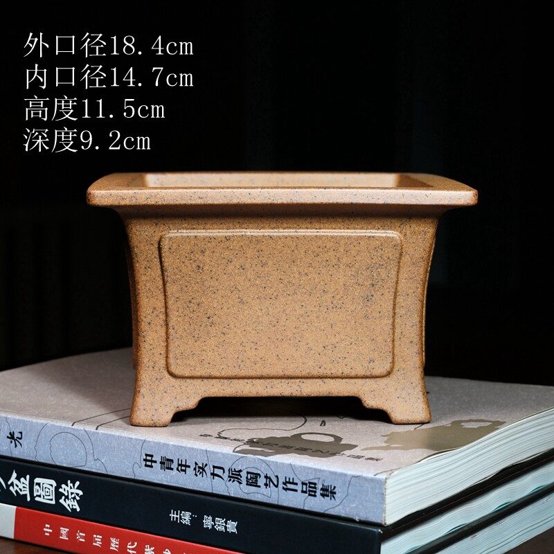 奎面飘口四方盆 尺寸实拍