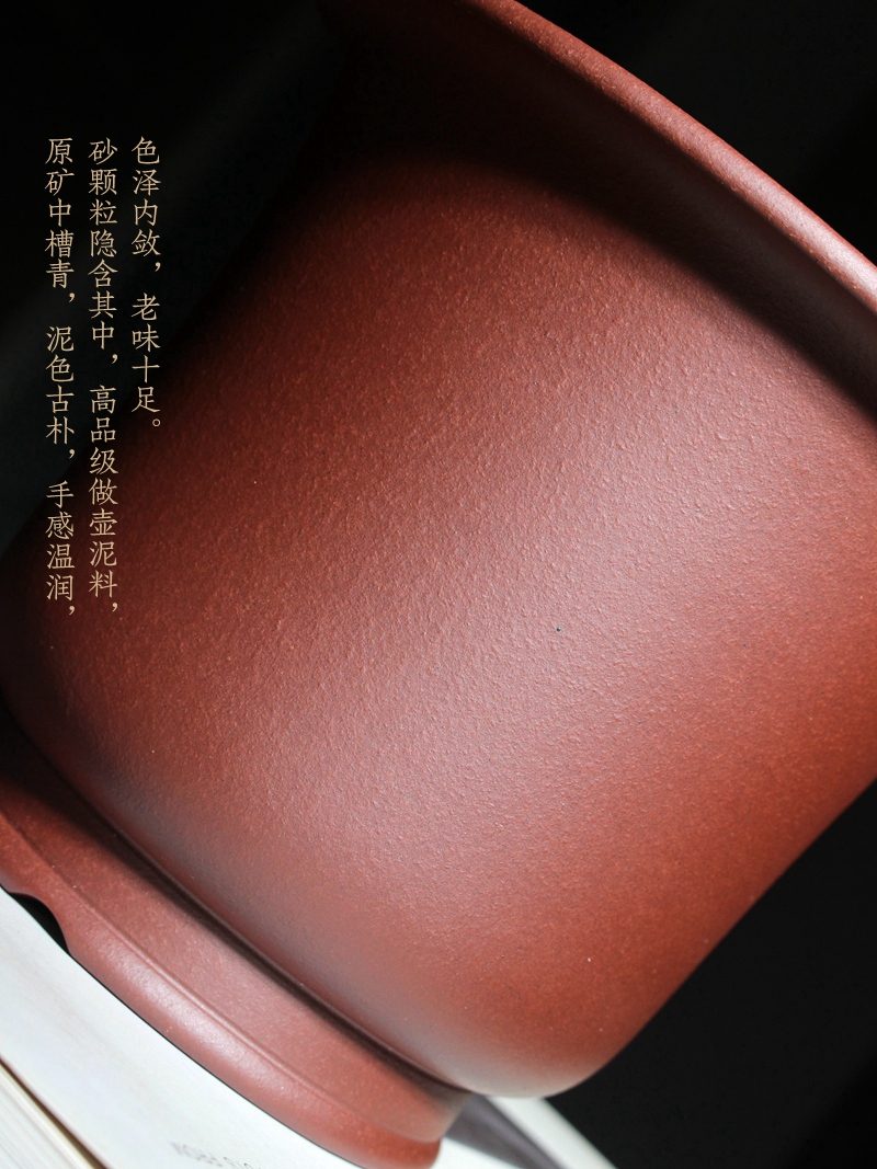 纳香 实拍08