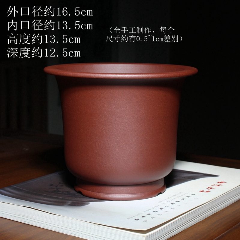 纳香 实拍10