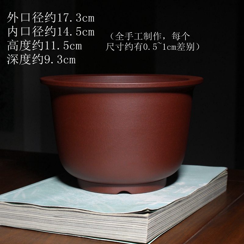 飘口金钟 实拍02