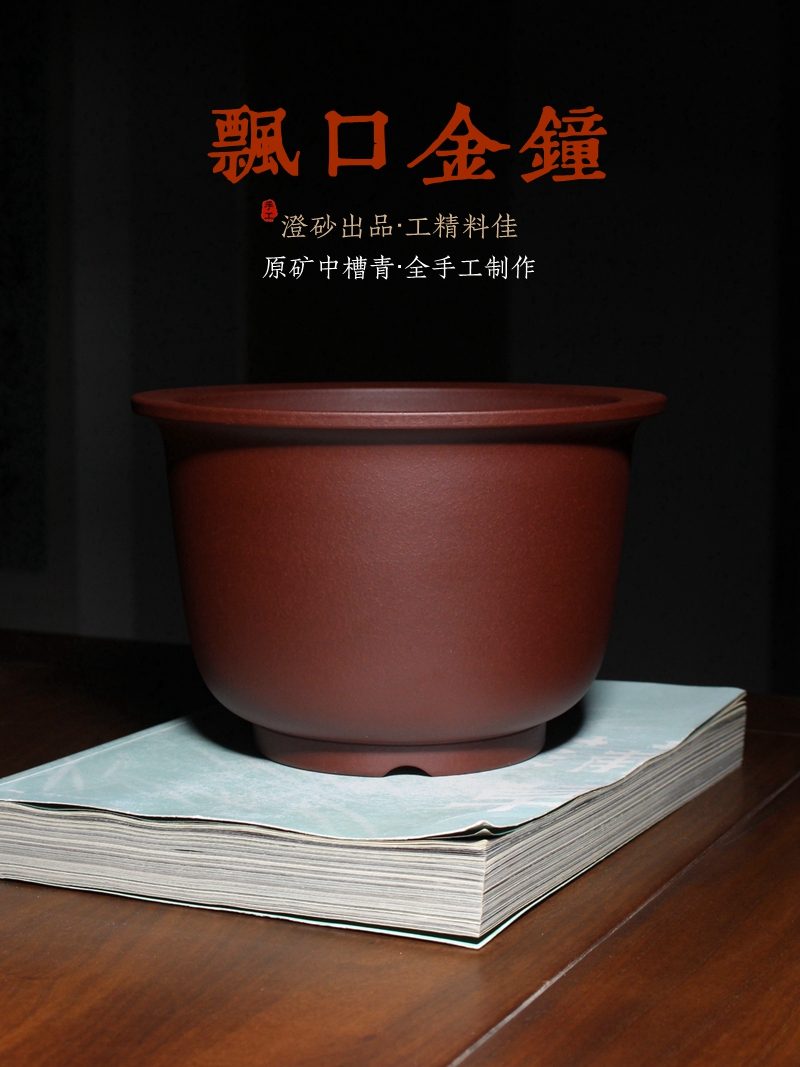飘口金钟 海报图