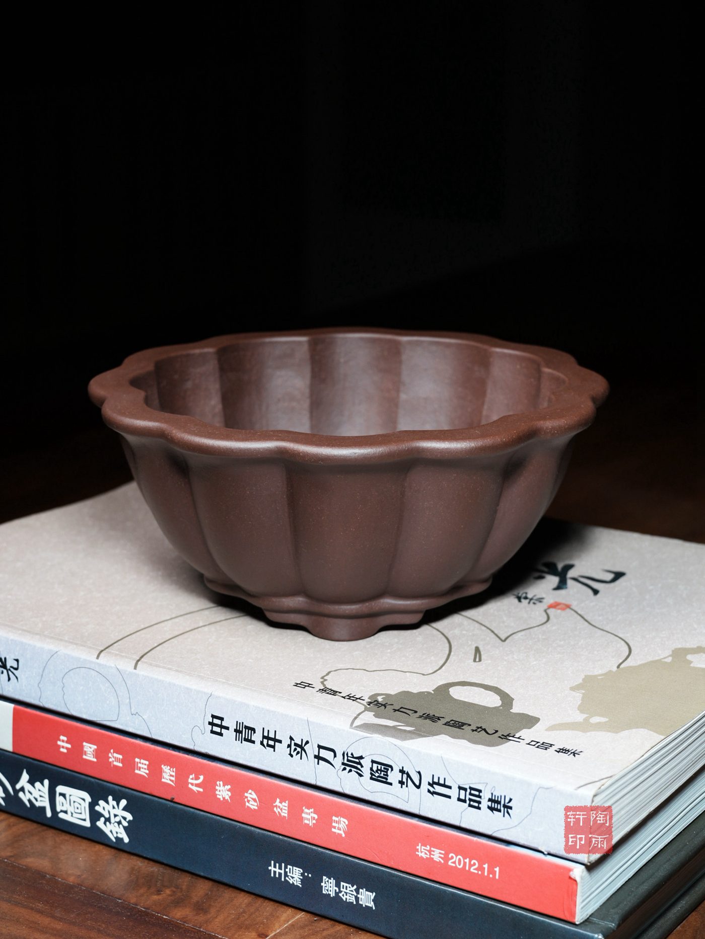 紫砂十二瓣菊 实拍角度2