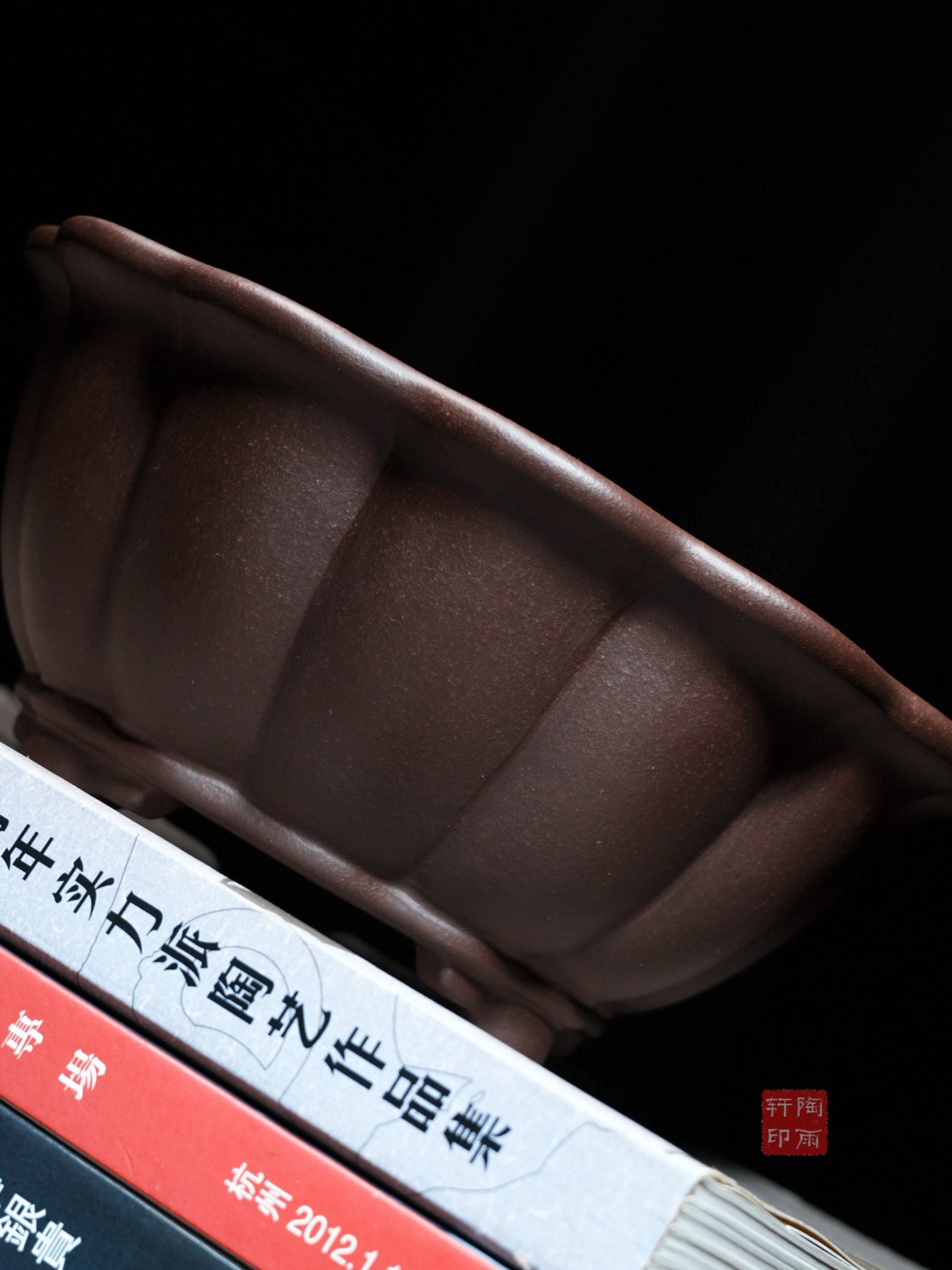 紫砂十二瓣菊 实拍角度8