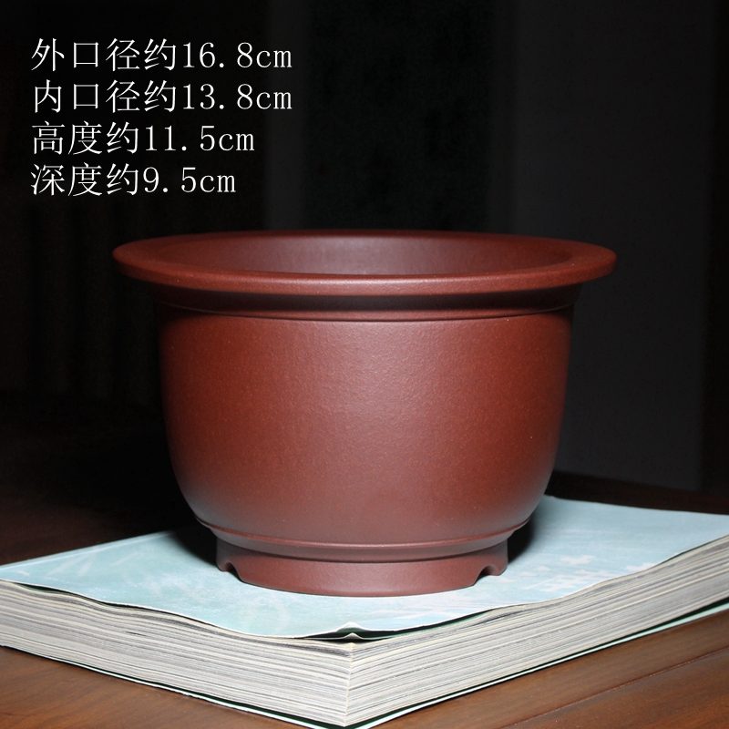 束底金钟 实拍02
