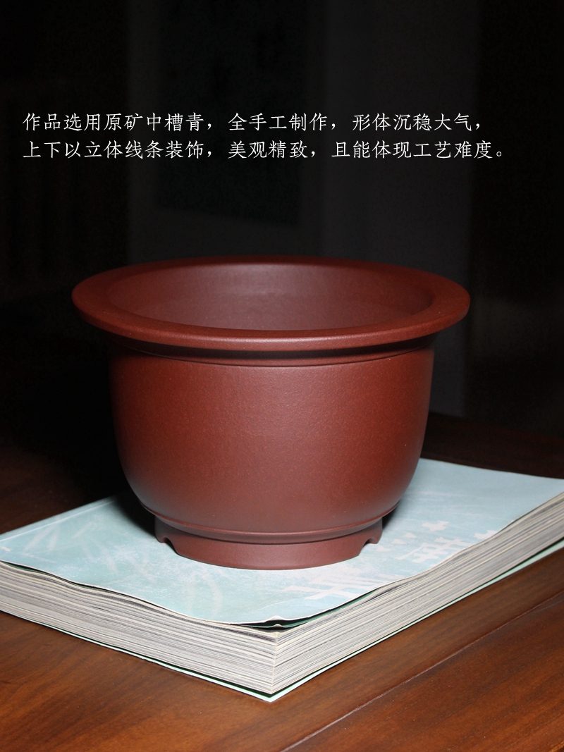 束底金钟 实拍03