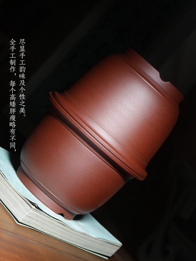 束底金钟 实拍11