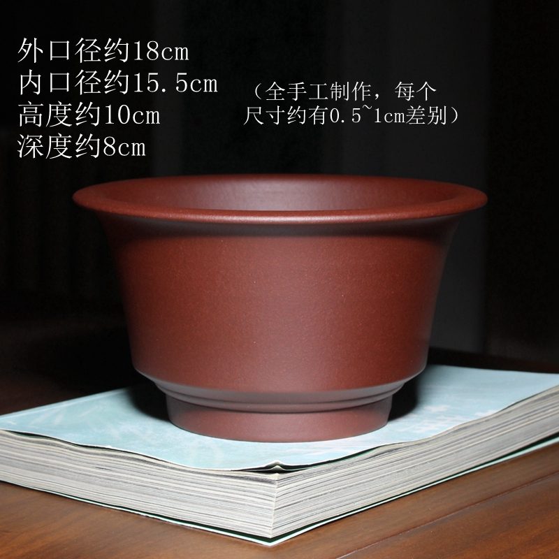 束底马蹄盆 实拍02