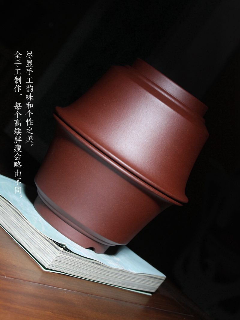 束底马蹄盆 实拍10